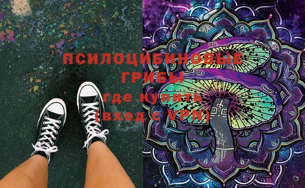 прущая мука Сатка