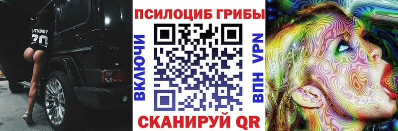 Псилоцибиновые грибы мицелий  Купить закладки  Можга 